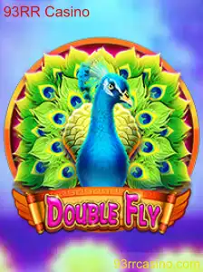 Explorando o Inovador Jogo DoubleFly no 93RR Casino